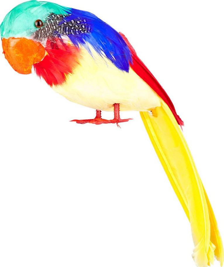 Schouder Papegaai voor Piraat