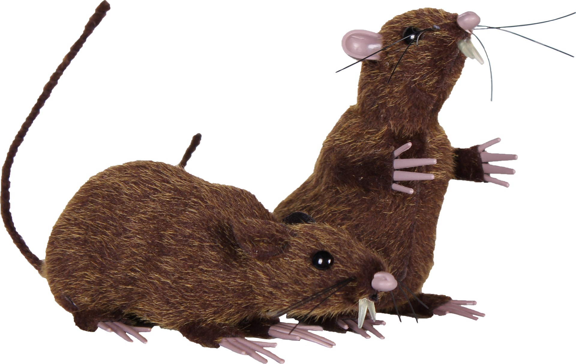 Set 2 Bruine Nep Ratten Halloween Decoratie