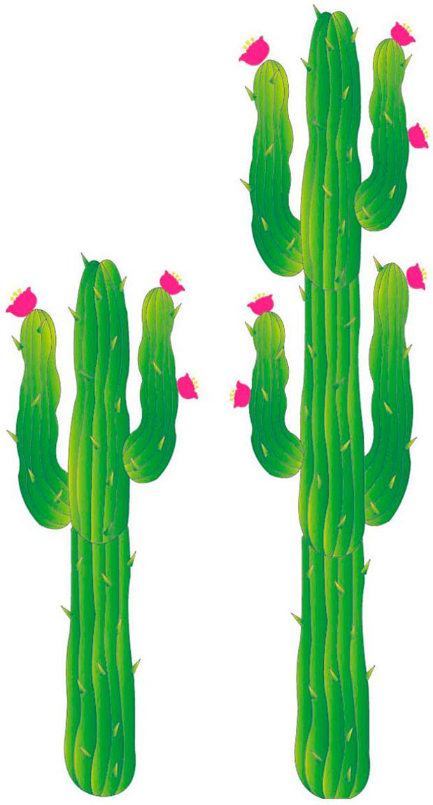 Set met 2 Papieren Cactussen