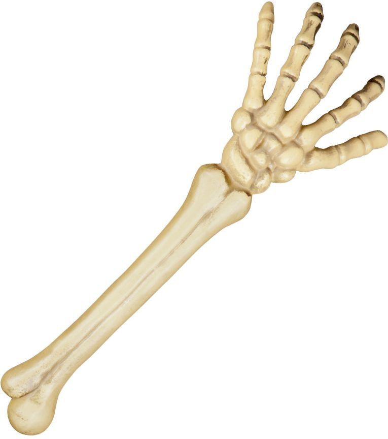 Skelet arm met hand decoratie