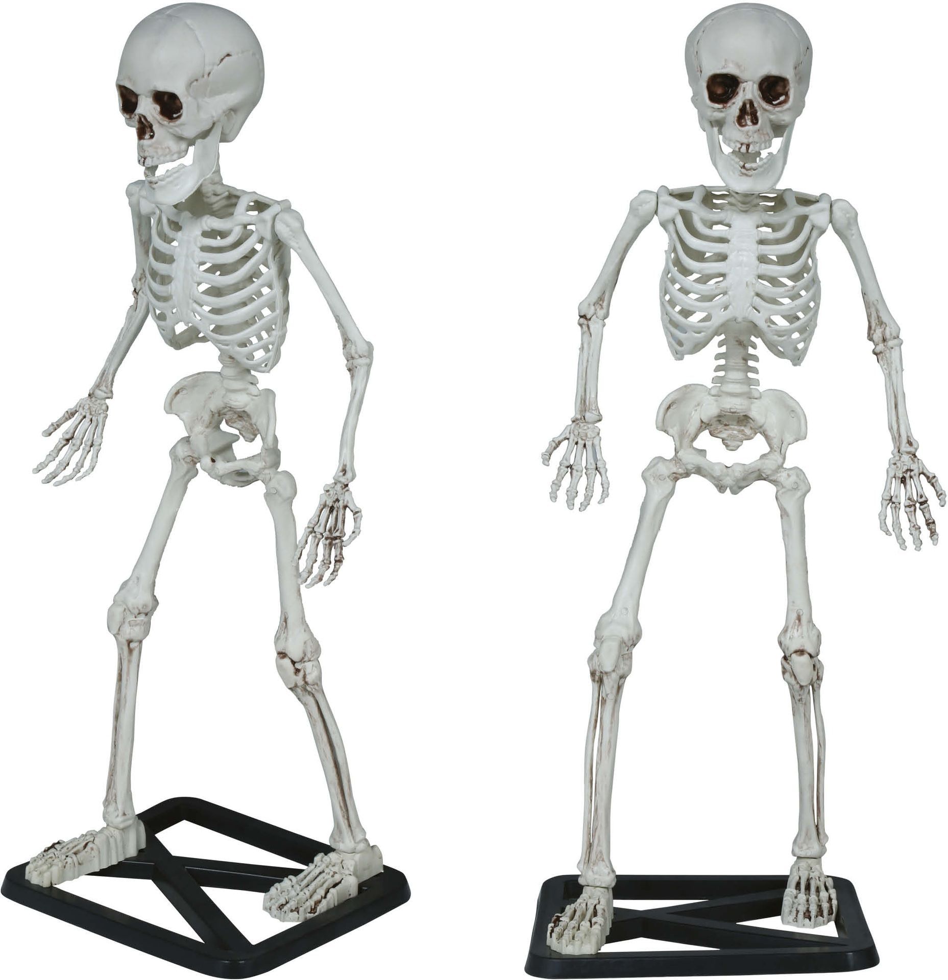 Skelet Decoratie Beige 55cm Halloween