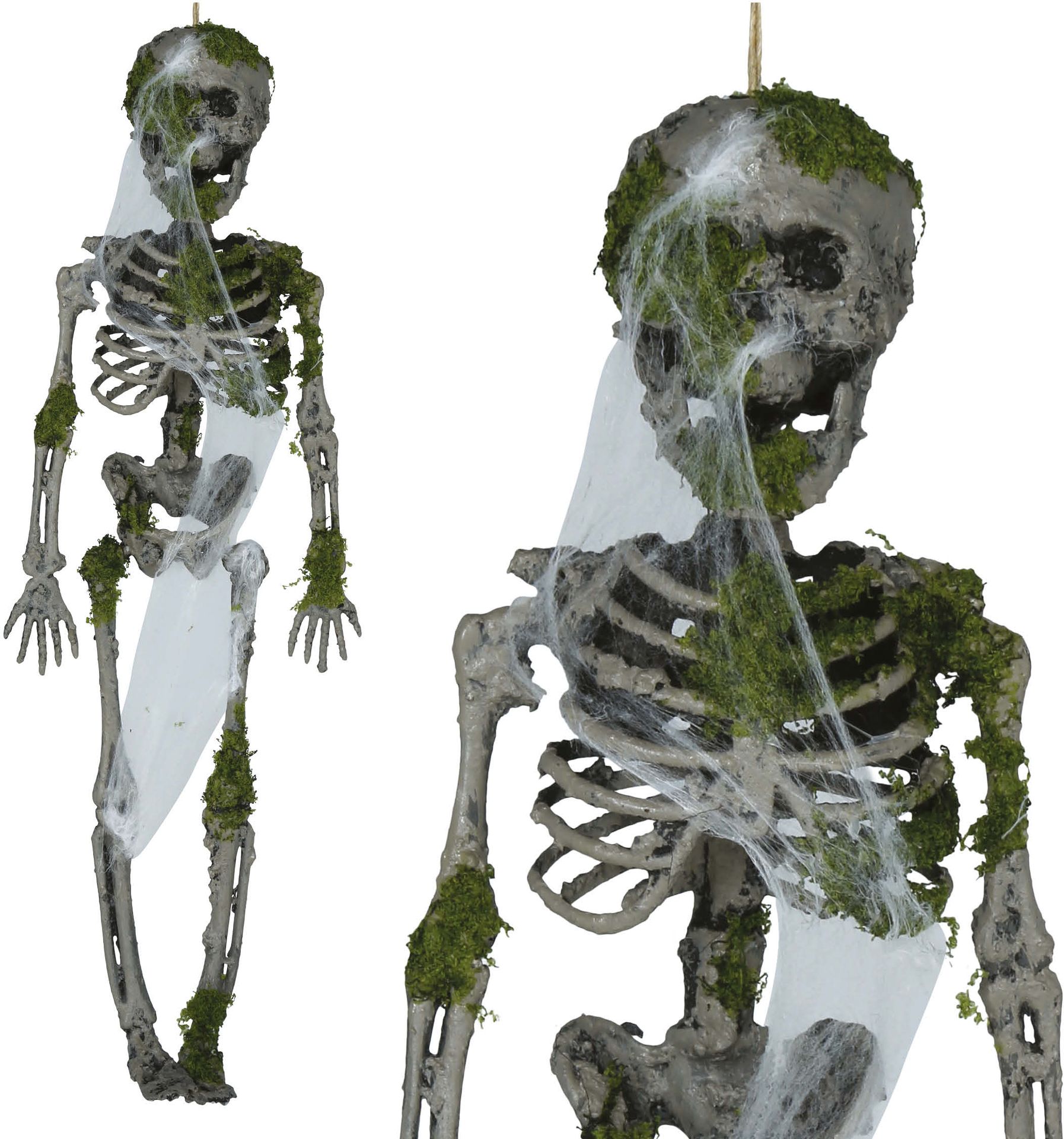 Skelet met Mos Halloween Hangdecoratie