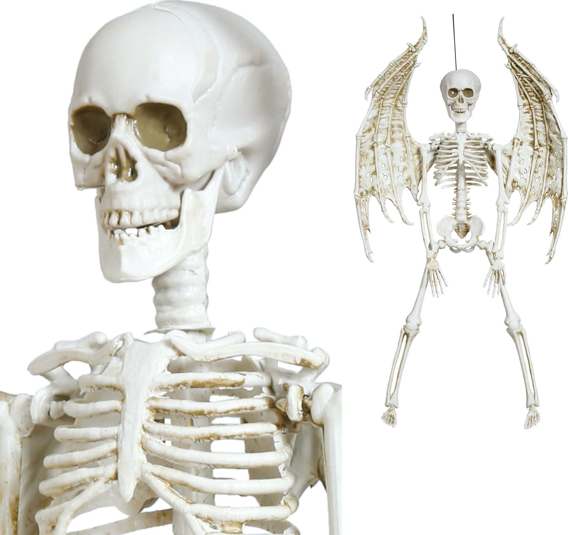 Skelet met Vleugels Hang Decoratie