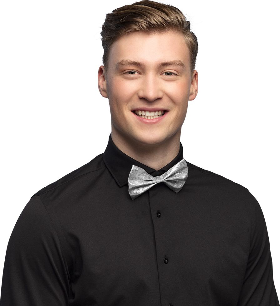 Sparkle Glitter Vlinderstrik Zilver