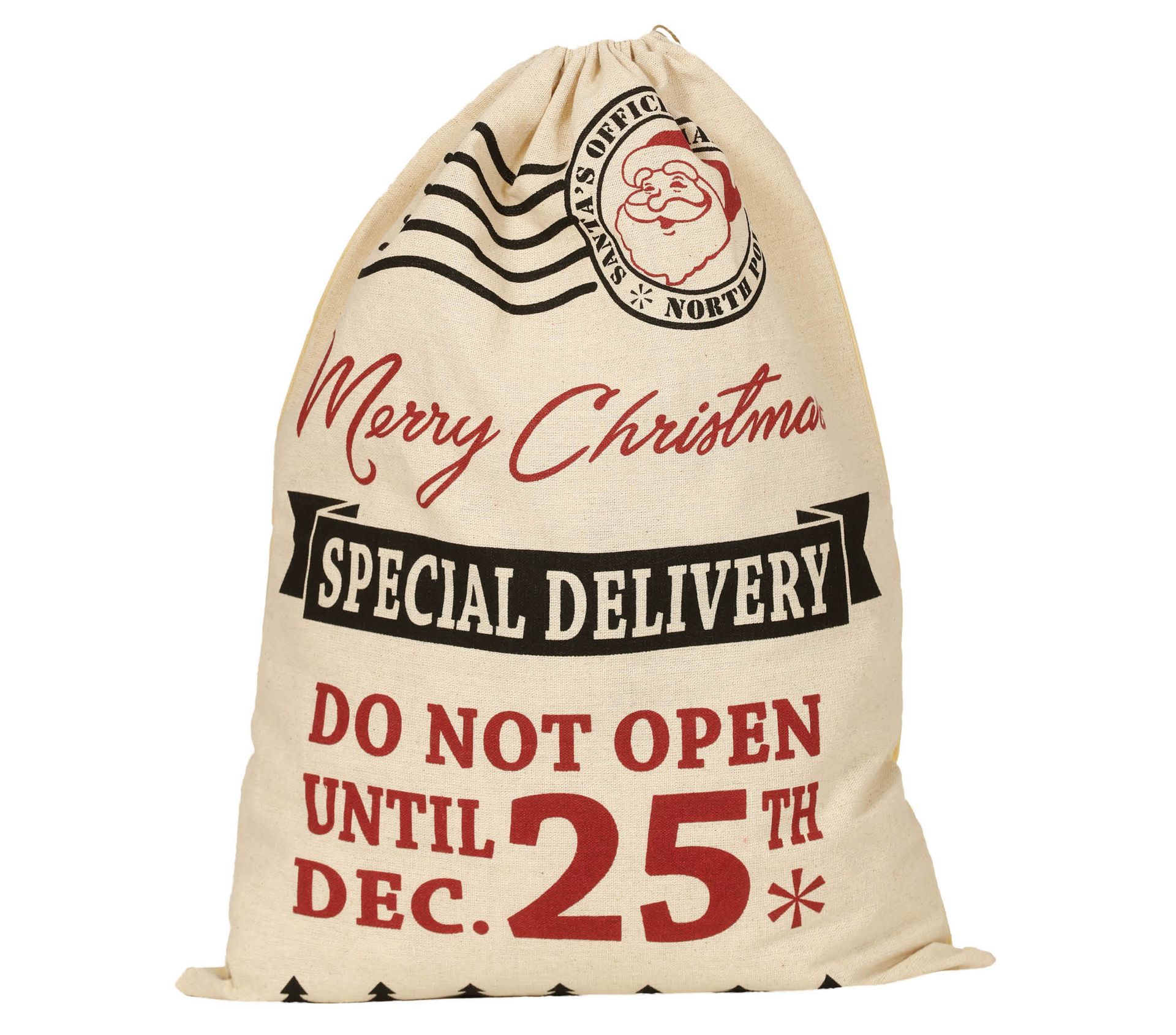 Special Delivery Kerstmis Cadeau Zak