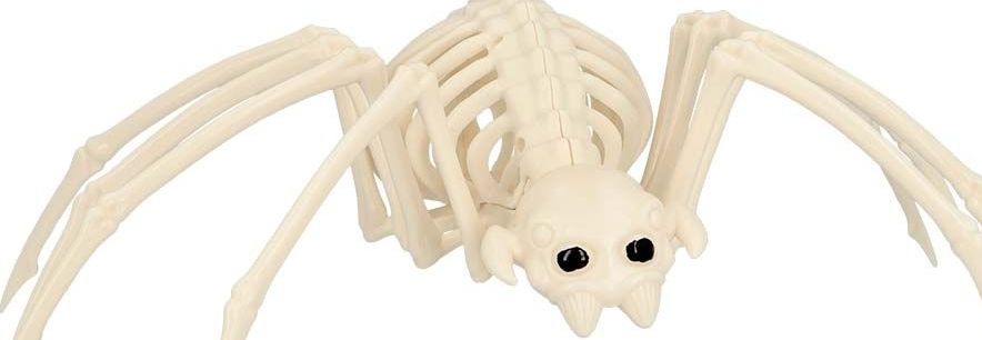 Spin Skelet Decoratie Groot 37cm Halloween