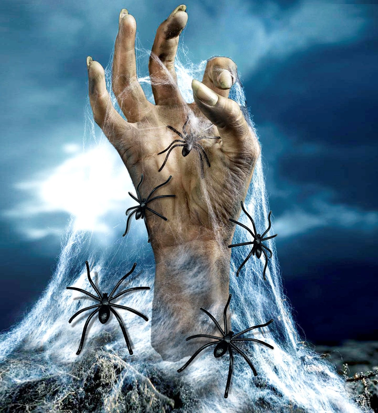 Spinnenweb met 20 Spinnen