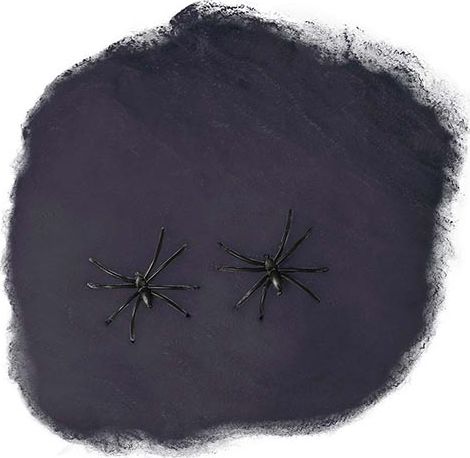 Spinnenweb met 4 Spinnen Zwart