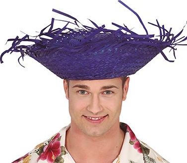 Strohoed Vogelverschrikker Blauw