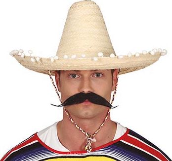 Strokleurige Mexicaanse Sombrero