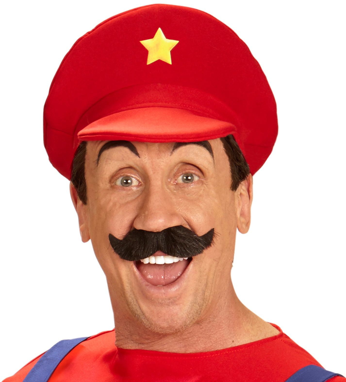 Super Mario pet