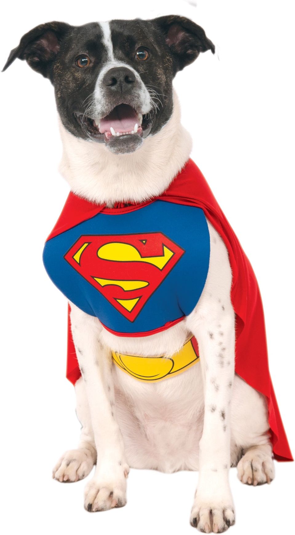 Superman Pakje voor Honden