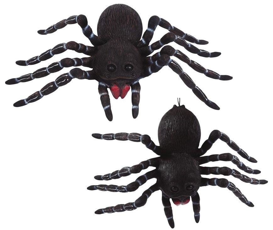 Tarantula Spin Decoratie