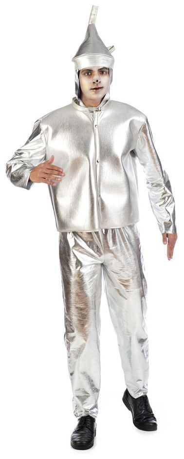 Tovenaar Van Oz Blikken Man