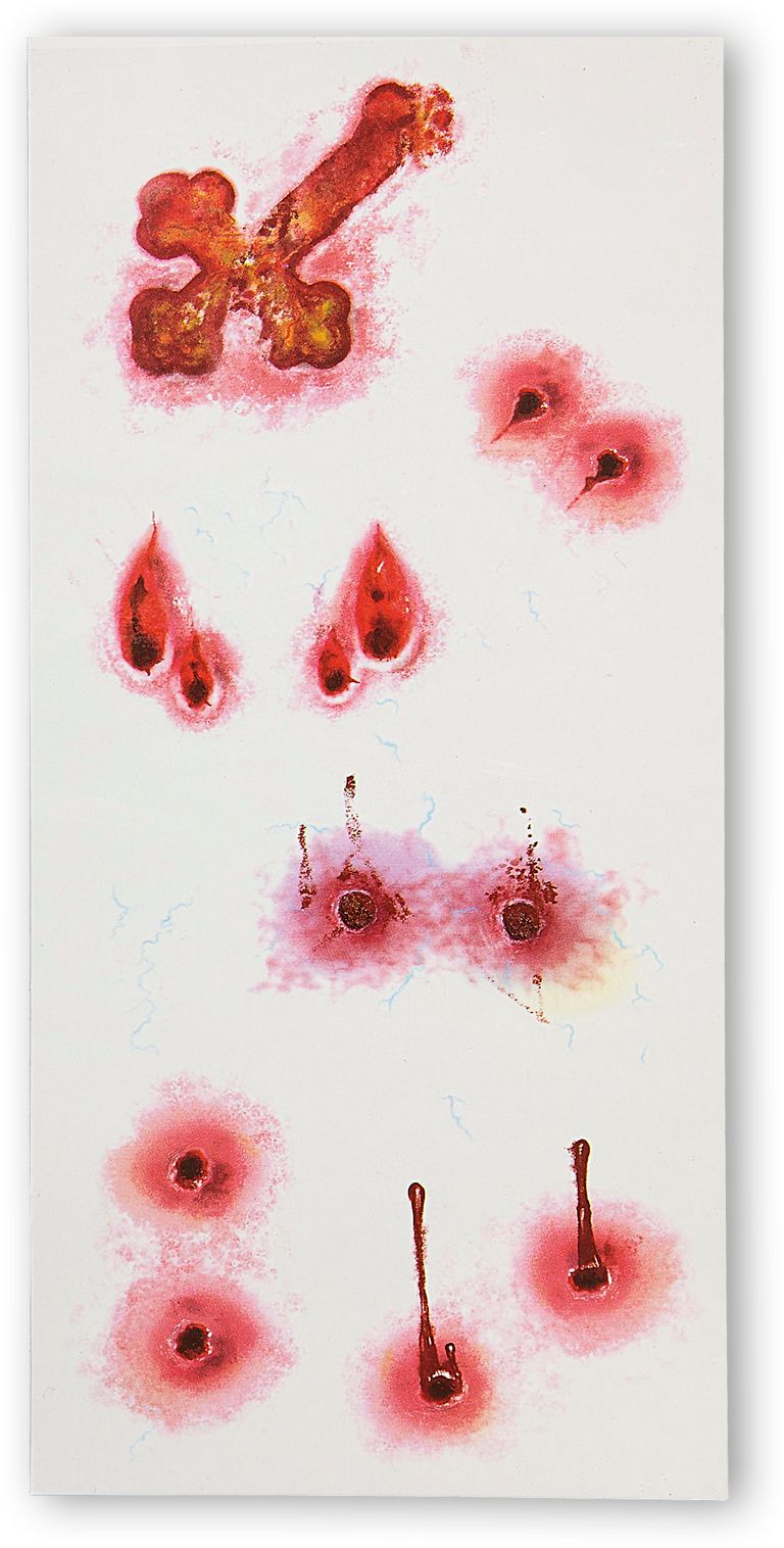 Vampierenbeet Stickers Set