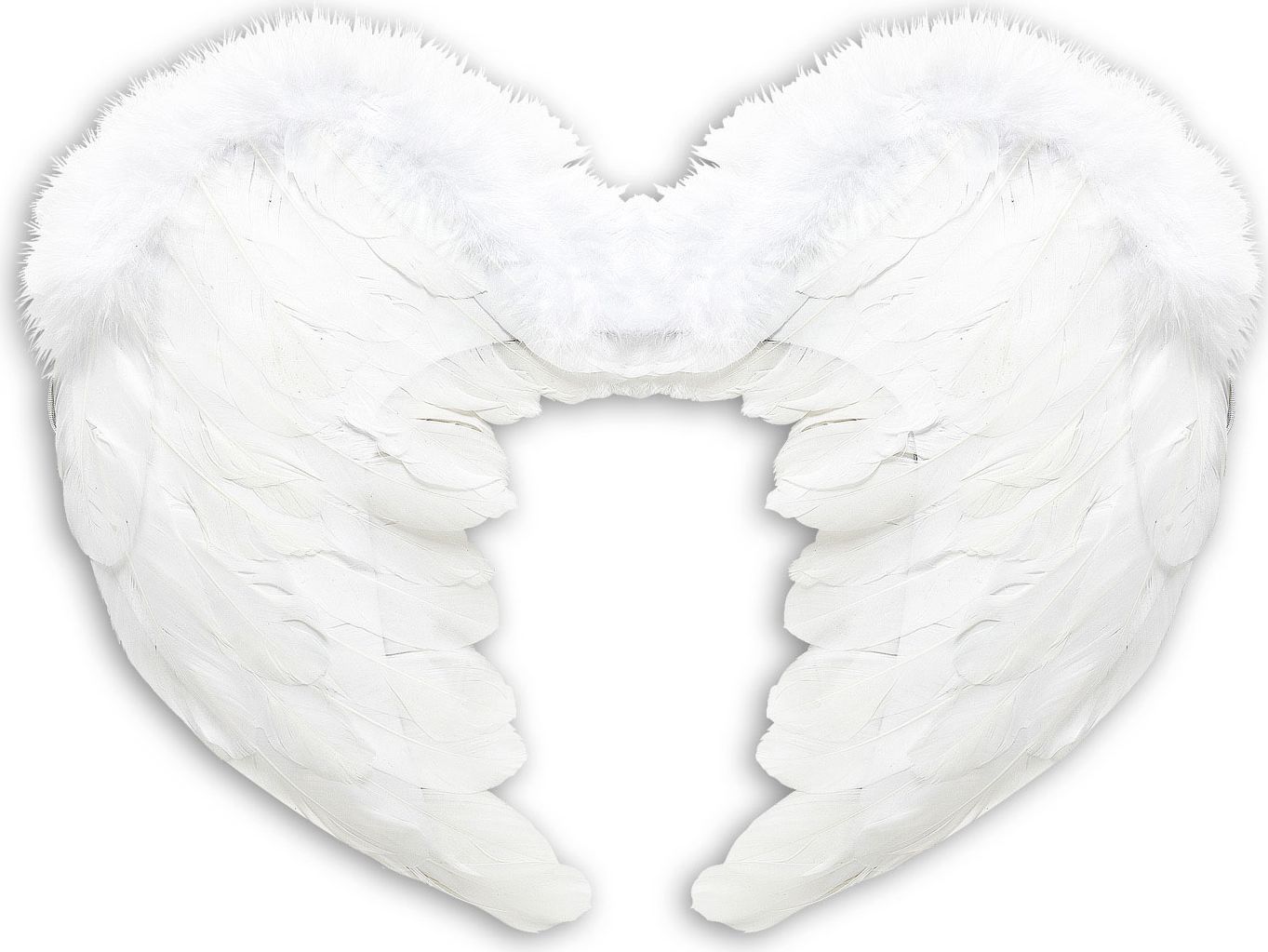 Veren Engel Vleugels Wit