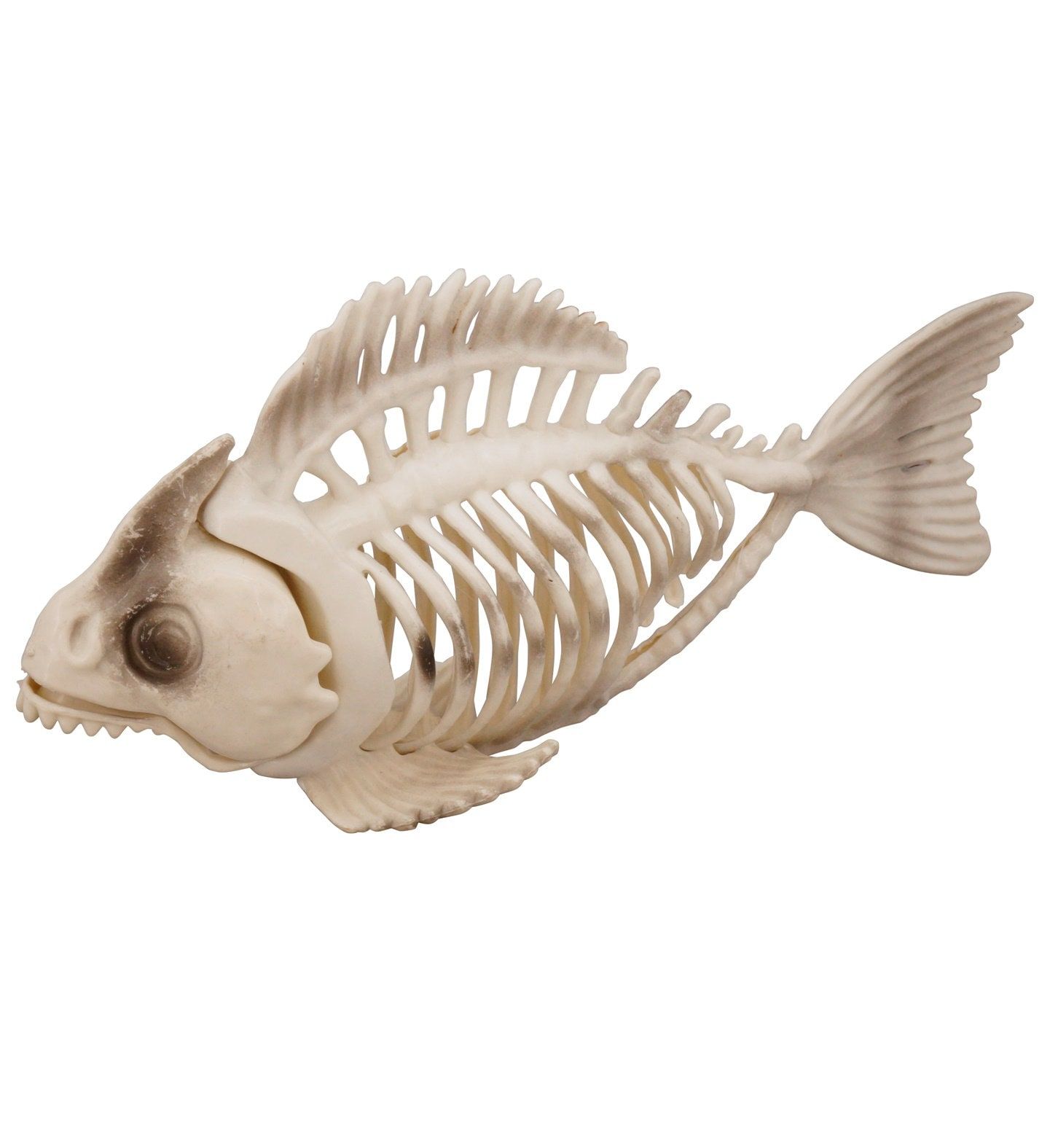 Vissenskelet Halloween Decoratie