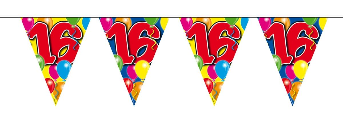 Vlaggenlijn 16 jaar balloons 10 meter