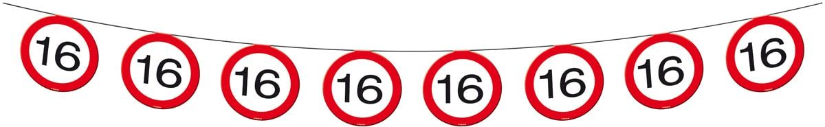 Vlaggenlijn 16 Jaar Verkeersbord 12 Meter