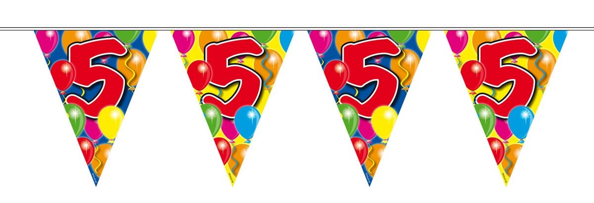 Vlaggenlijn 5 Jaar Balloons 10 Meter