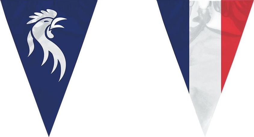 Vlaggenlijn Frankrijk 'Allez Les Bleus' 6M
