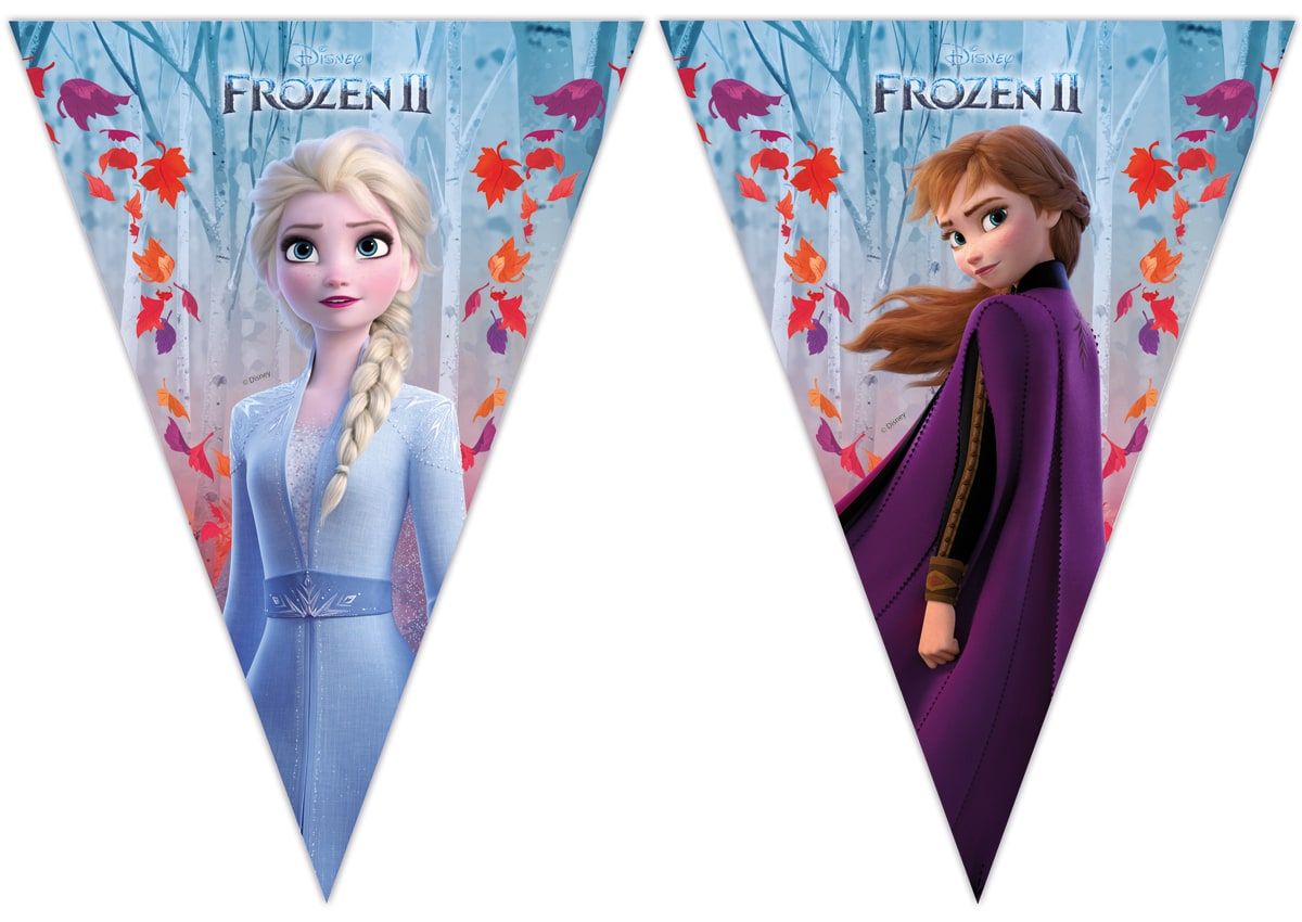 Vlaggenlijn Frozen 2 Kinderfeestje 2 Meter