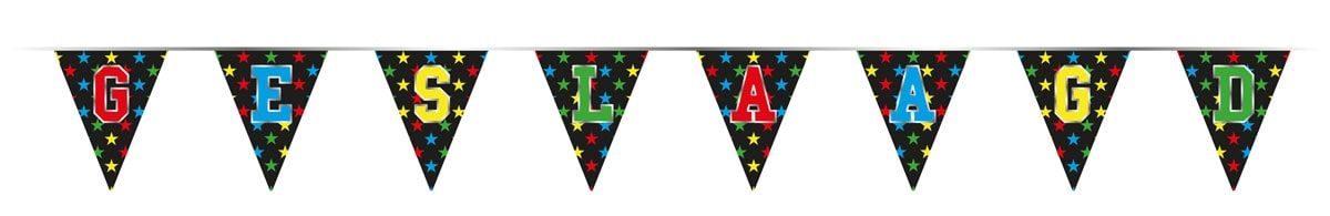 Vlaggenlijn Holografisch Geslaagd 4 Meter