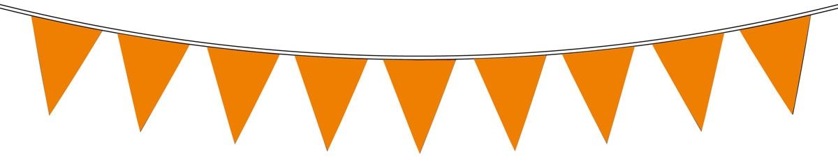 Vlaggenlijn Koningsdag Oranje 10 Meter
