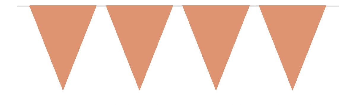 Vlaggenlijn Rose Goud Uni 10 Meter