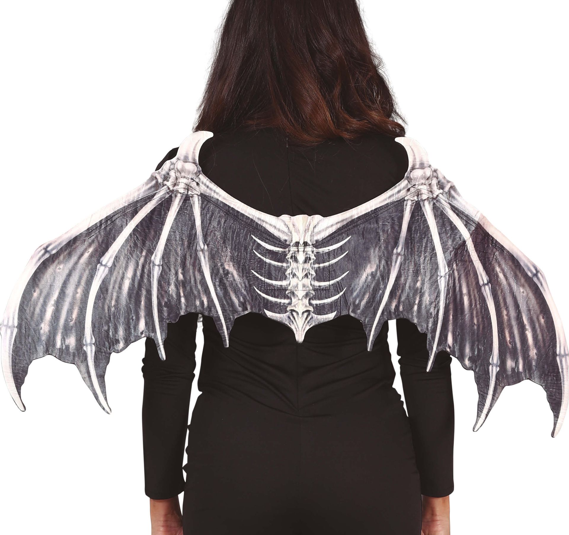 Vleermuis Skelet Vleugels