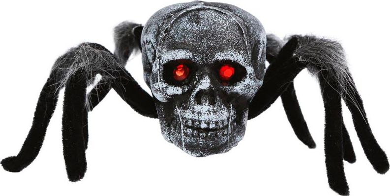 Vogelspin met Schedel