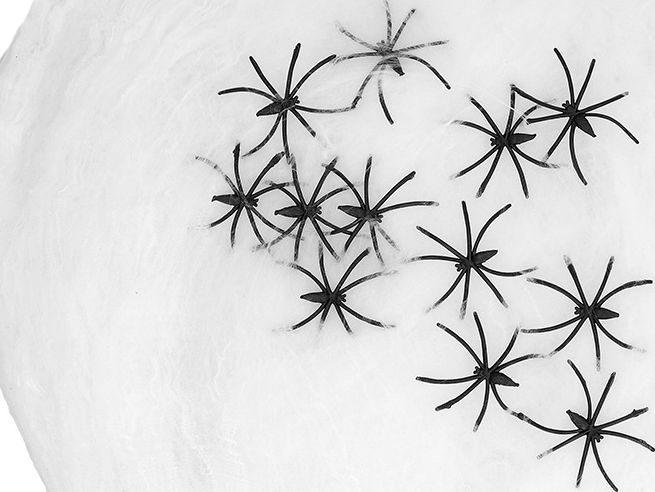 Wit Spinsel met 25 Spinnen 500G