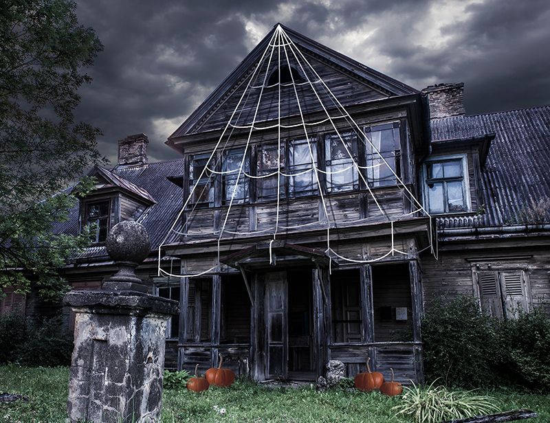 Witte Geveldecoratie Spinnenweb Groot