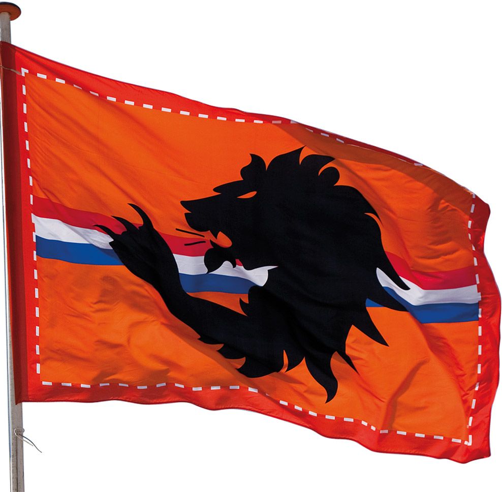 XXL vlag nederland met leeuw