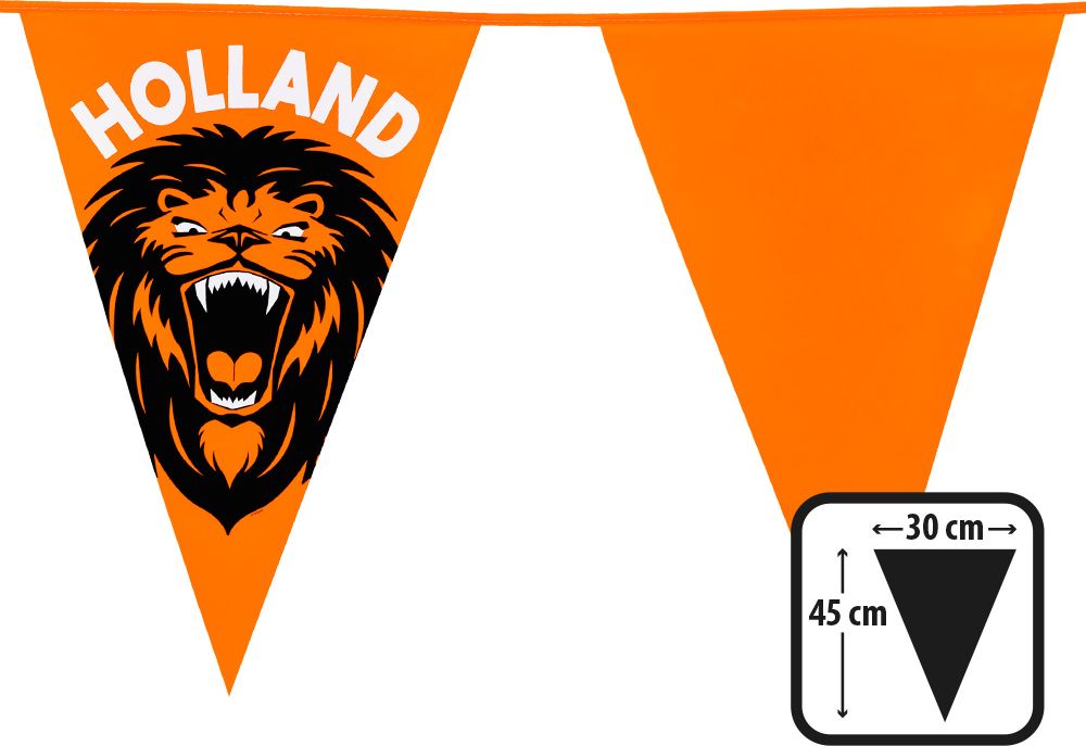 Xxl Vlaggenlijn Oranje met Leeuw 6 Meter