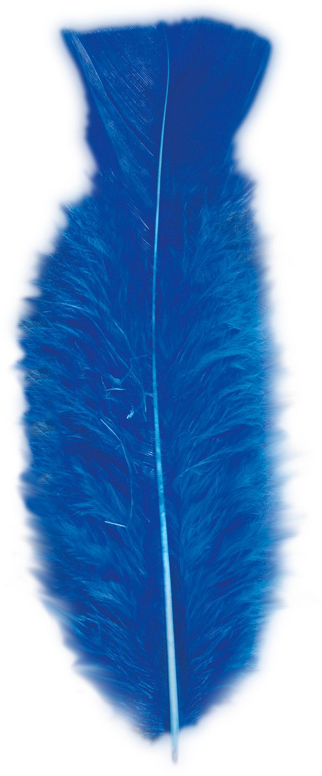 Zakje met 50 Blauwe Veertjes