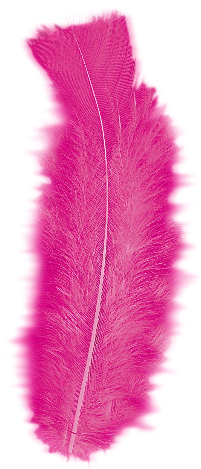 Zakje met 50 Felroze Veertjes