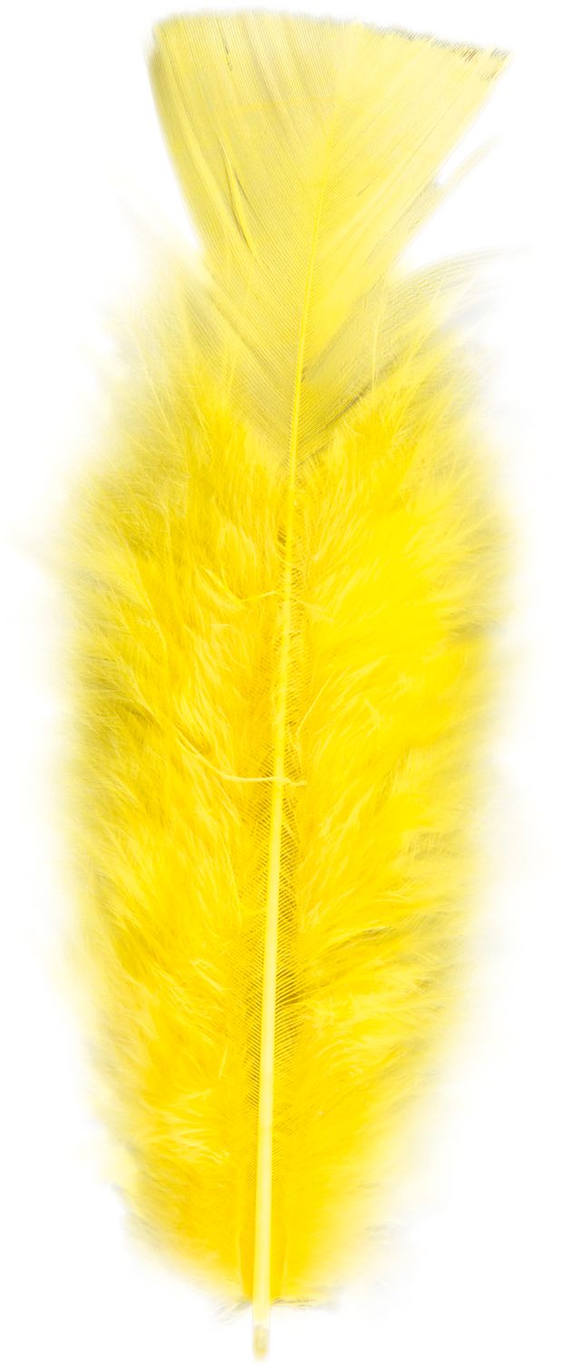 Zakje met 50 Gele Veertjes