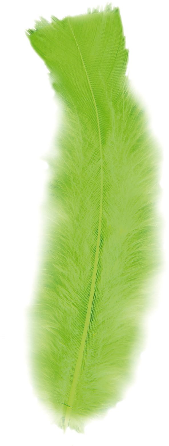 Zakje met 50 Groene Veertjes