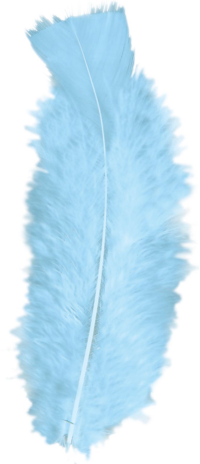 Zakje met 50 Lichtblauwe Veertjes