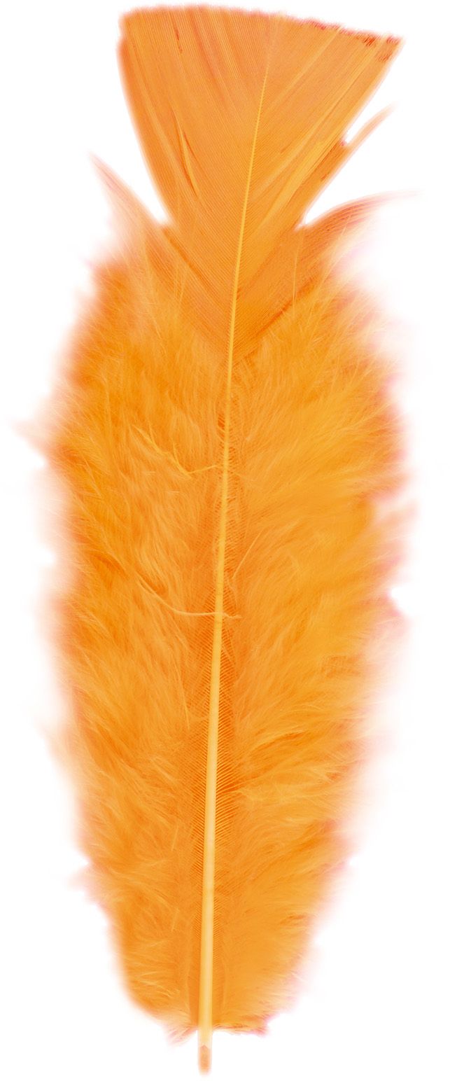 Zakje met 50 Oranje Veertjes