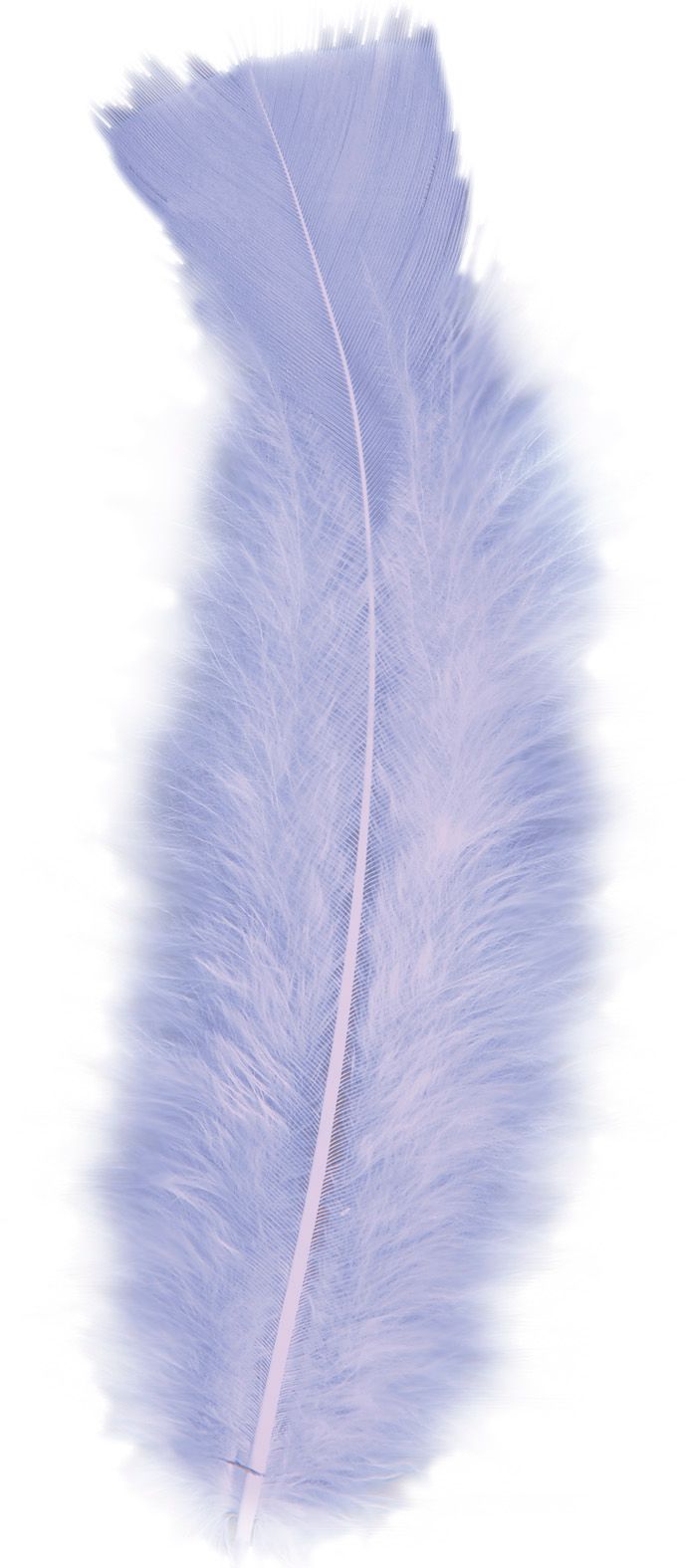 Zakje met 50 Paarse Veertjes