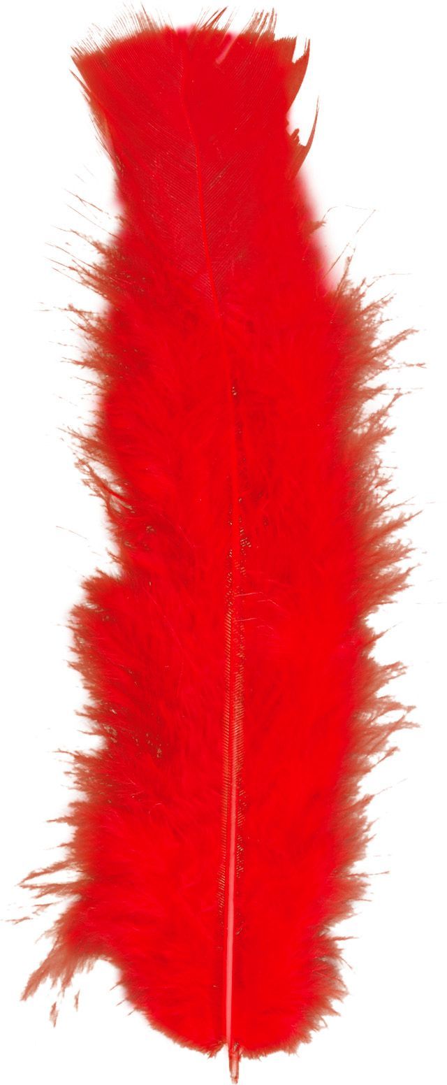 Zakje met 50 Rode Veertjes