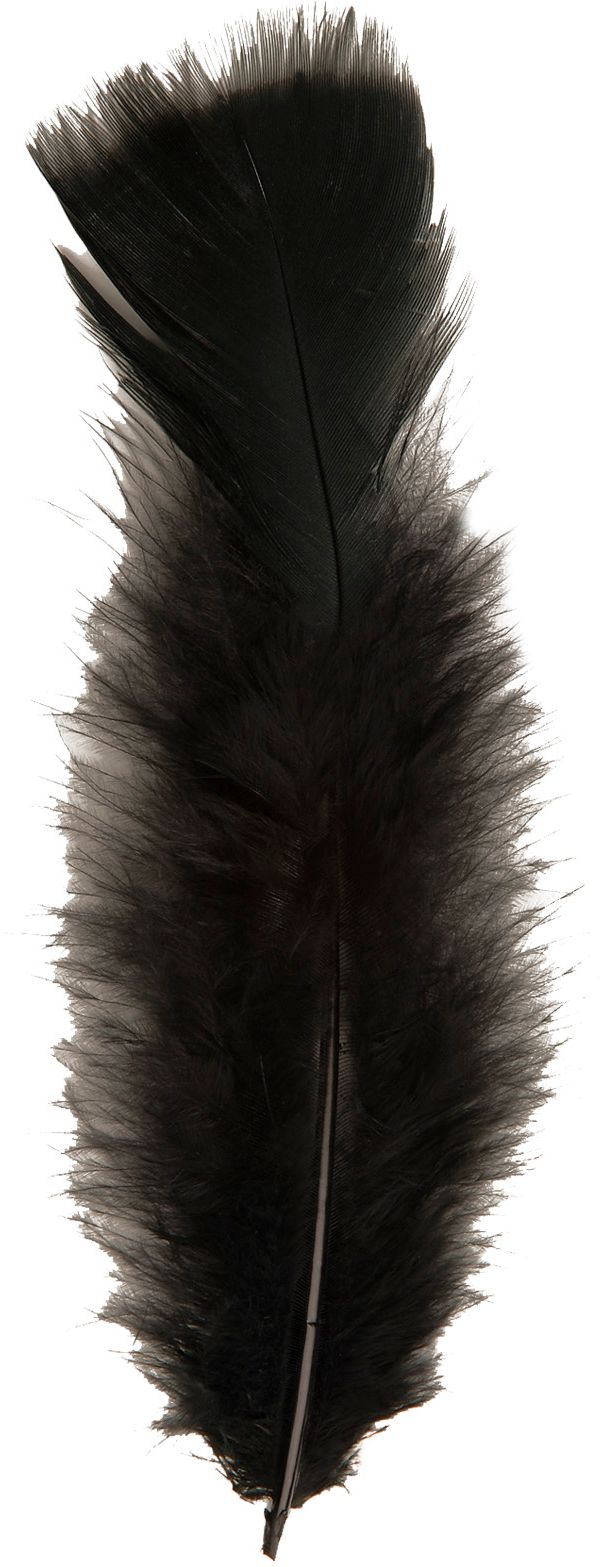 Zakje met 50 Zwarte Veertjes