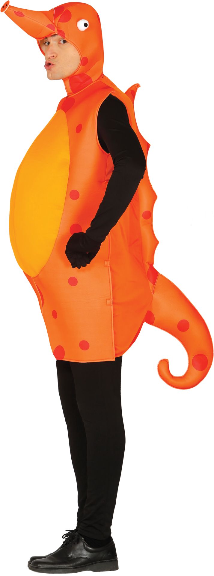 Zeepaardje kostuum carnaval