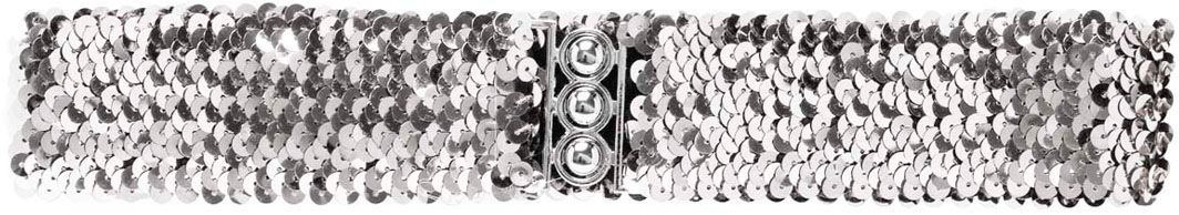 Zilveren Pailletten Riem