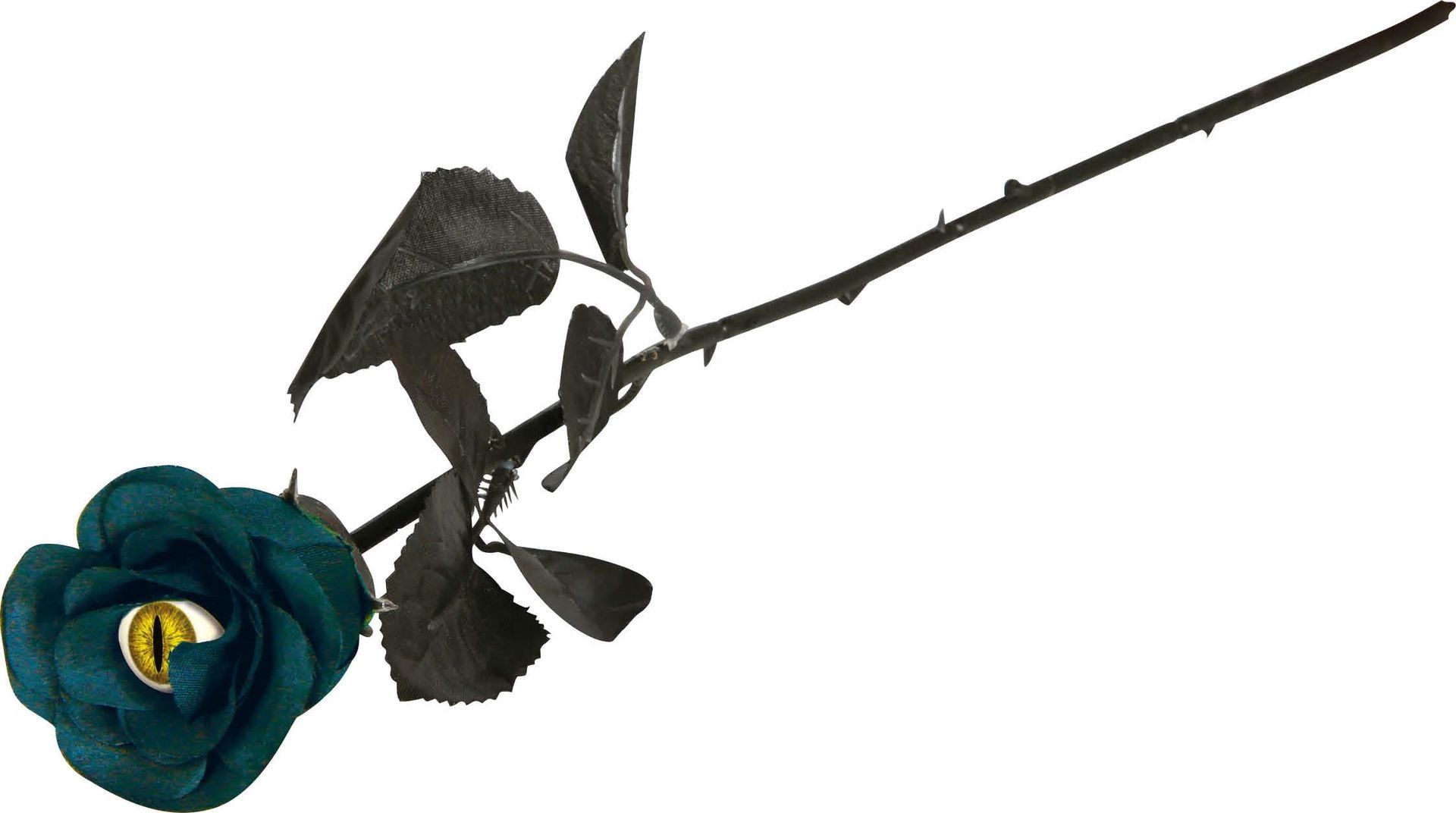 Zwart Blauwe Roos met Kattenoog Halloween