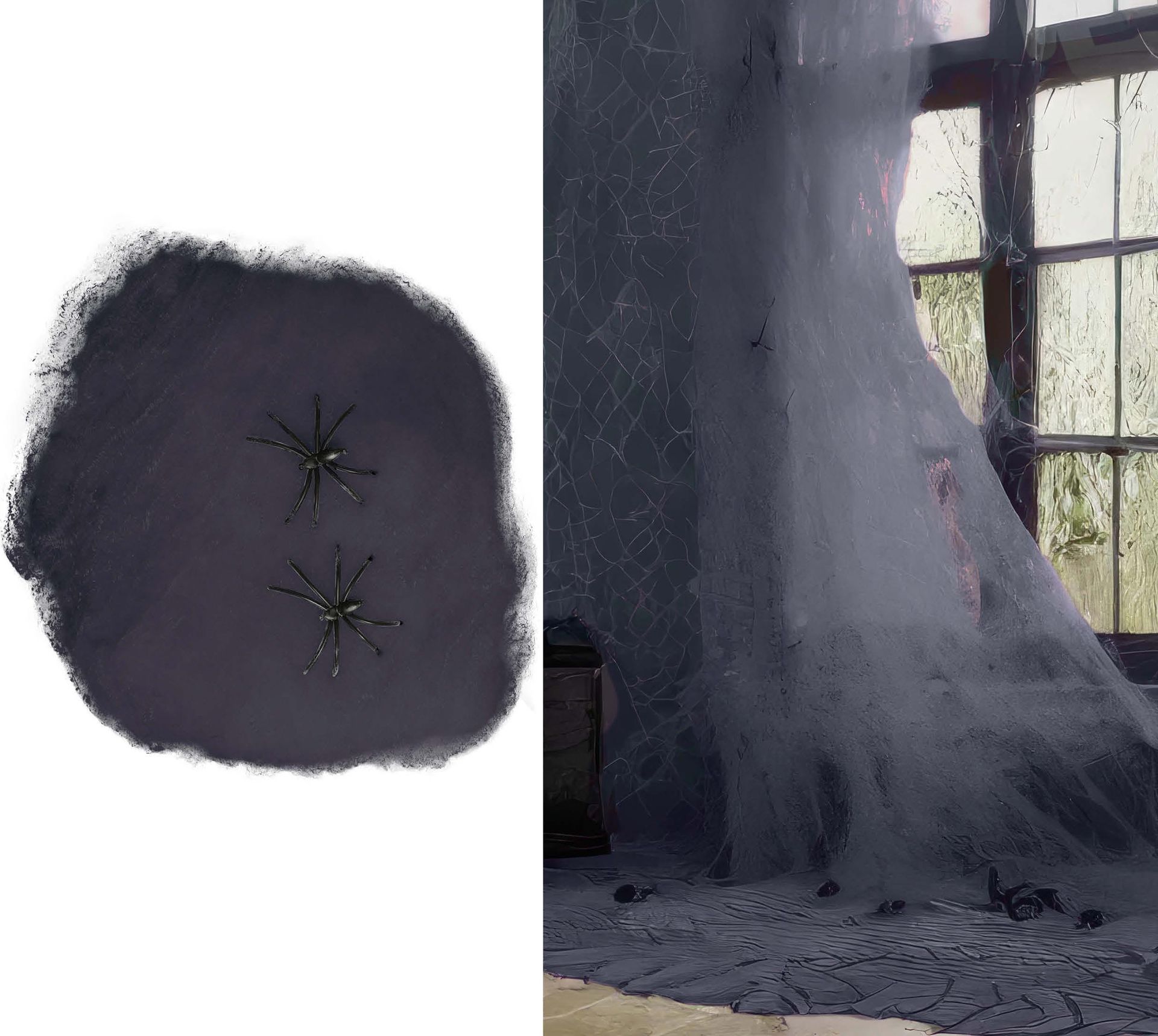 Zwart Spinnenweb Halloween