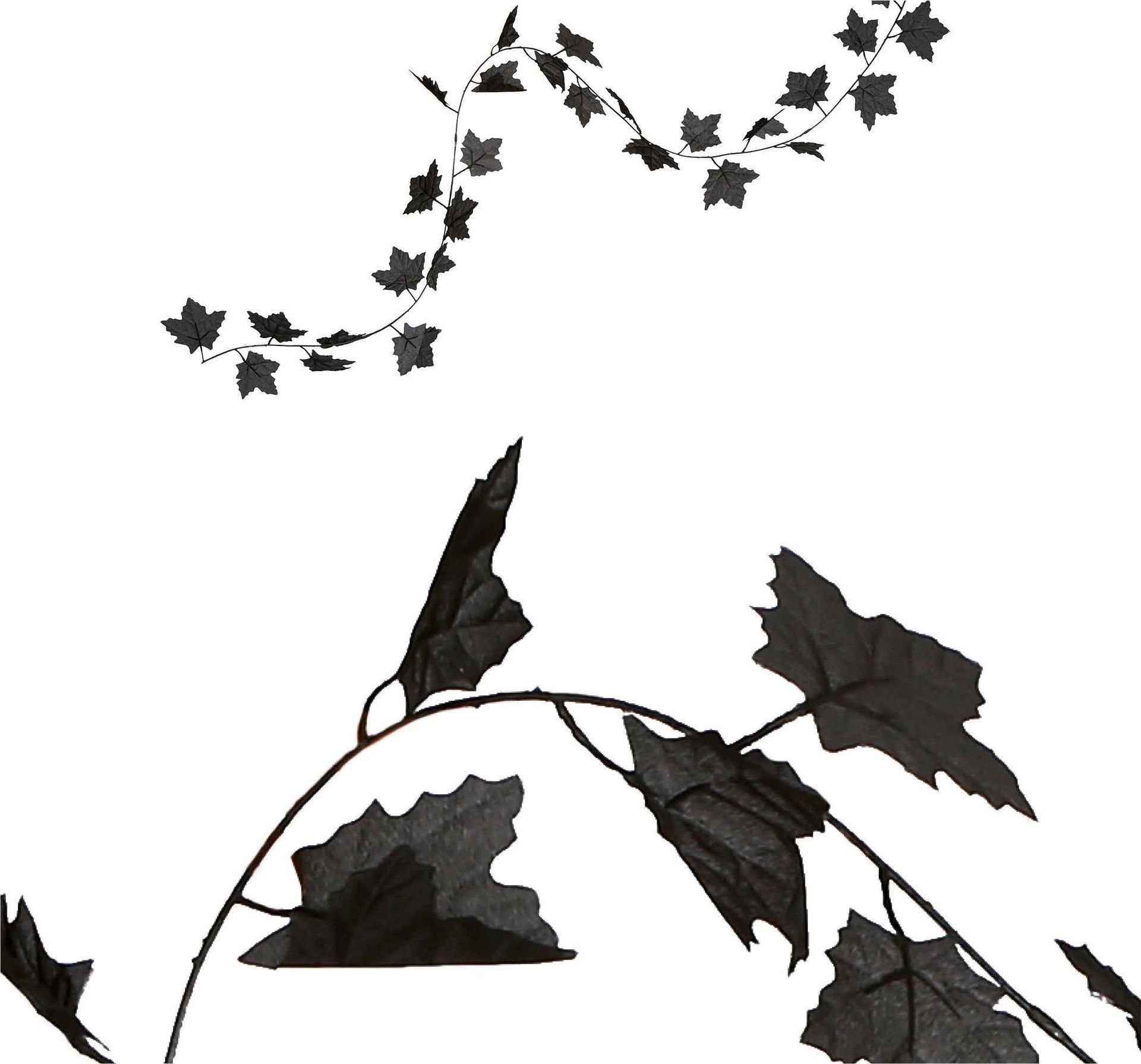 Zwarte Bladeren Versiering Slinger