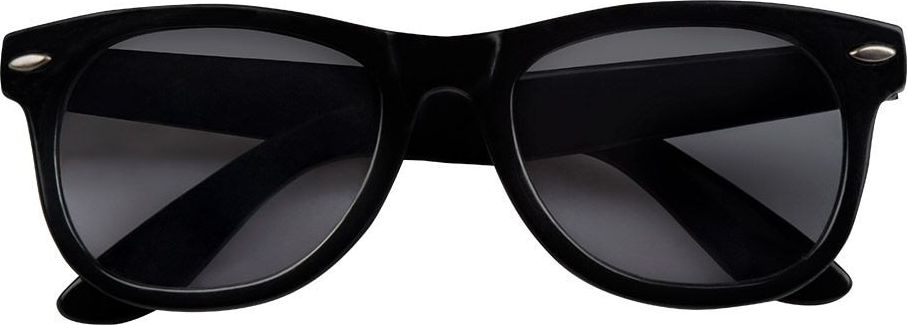 Zwarte Blues Brothers Bodyguard Bril